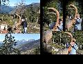 pitz_09_00151.jpg