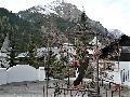 pitz_09_00211.jpg