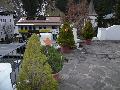 pitz_09_00311.jpg