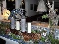 pitz_09_00566.jpg