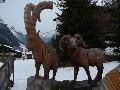 pitz_09_00576.jpg