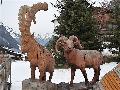 pitz_09_00581.jpg