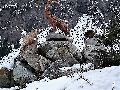 pitz_09_00591.jpg