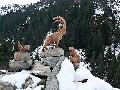pitz_09_00596.jpg