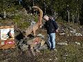 pitz_09_0151.jpg