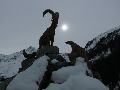 pitz_09_0251.jpg