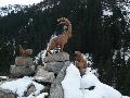 pitz_09_0711.jpg
