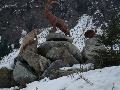 pitz_09_1309.jpg