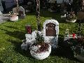 pitz_09_1371.jpg