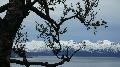 norw_2011_041.jpg