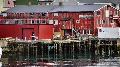 norw_2011_058.jpg