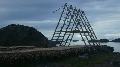 norw_2011_077.jpg