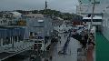 norw_2011_081.jpg