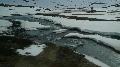norw_2011_096.jpg