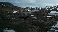 norw_2011_097.jpg